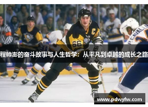 程帅澎的奋斗故事与人生哲学：从平凡到卓越的成长之路